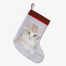 Search for orange cat christmas stockings Tabby