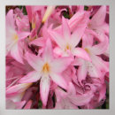 Search for little tiny posters Flowers