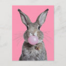 Search for chew postcards Rabbit