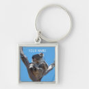 Search for koala key rings Wildlife