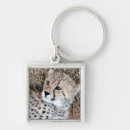Search for cheetah key rings Cub