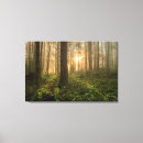 Search for rain forest canvas prints Washington state