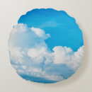 Search for sky blue cushions Landscape