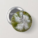 Search for butterfly badges Photography