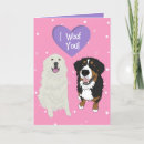 Search for bernese mountain dog valentines day cards Berner