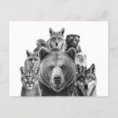Search for predators postcards Animal