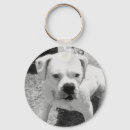 Search for boxer key rings White