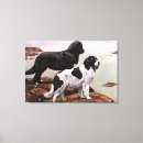 Search for newfoundland art Pets