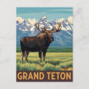 Search for grand teton national park postcards Usa