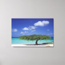 Search for aruba canvas prints Ocean