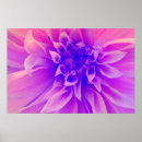 Search for macro flower posters Floral