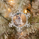 Search for pet supplies Remembrance
