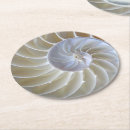 Search for sea shell coasters Nautilus