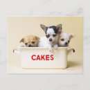 Search for chihuahua puppies postcards Dog