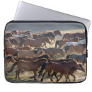 Search for herd cases Ranch