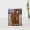 Search for horse thank you cards Farm animal
