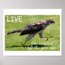 Search for funny motivational posters Words of encouragement