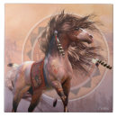 Search for spirit tiles Native