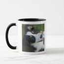 Search for hind mugs Animal