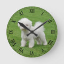 Search for bichon frise art Poodle