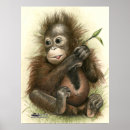 Search for orangutan posters Great ape