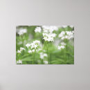 Search for tiny art Picture