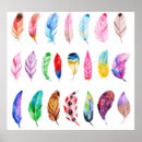 Search for feathered posters Colourful