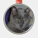 Search for russian blue cat christmas tree decorations Kitten