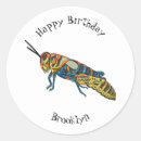 Search for grasshopper stickers Insect