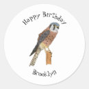 Search for raptor bird stickers Peregrine
