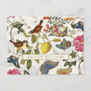 Search for vintage bird postcards Antique