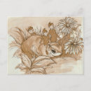Search for squirrel postcards Book
