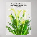 Search for calla lily art Floral