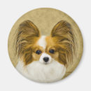 Search for triing magnets Dog