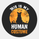Search for magic cat stickers Haunted night