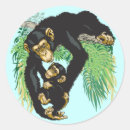 Search for chimp stickers Monkey