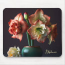 Search for amaryllis mouse mats Floral