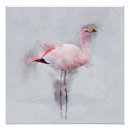 Search for plumage posters Wild