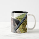Search for my precious mugs Gandalf the grey