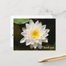 Search for waterlily thank you cards Lotus