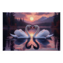 Search for swan posters Serene nature