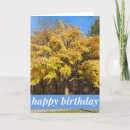 Search for autumn tree birthday cards Colourful