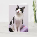 Search for kitten valentines day cards White