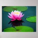 Search for flor posters Nature