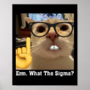 Search for cat meme posters Kitten