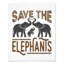 Search for extinction posters Elephant