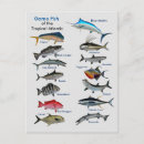 Search for aquatic vertical postcards Ocean