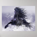 Search for black beauty horse posters Equine