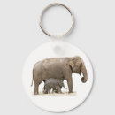 Search for elephant baby key rings Wild