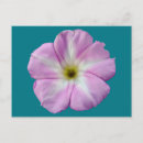 Search for weeding postcards Pink